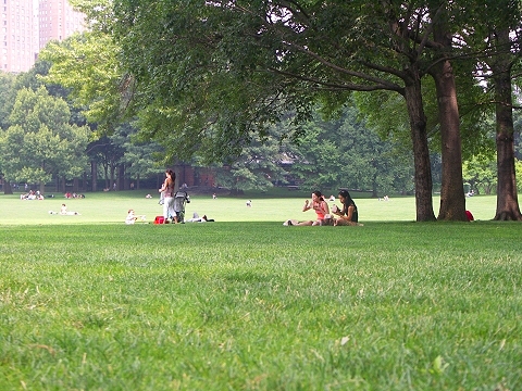 NY-Central_Park-Sheeps_Meadow-Sunbathing-19.JPG