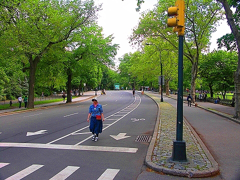 NY-Central_Park-Sheepsmeadow-People_Watching-02.JPG
