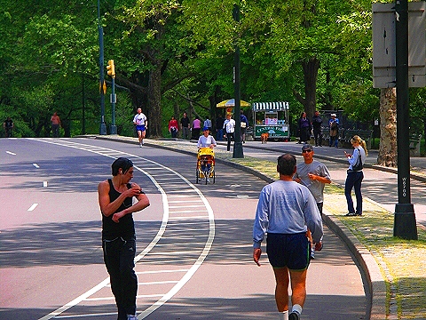 NY-Central_Park-Sheepsmeadow-People_Watching-06.JPG