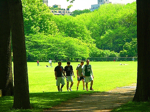 NY-Central_Park-Sheepsmeadow-People_Watching-08.JPG