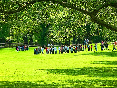 NY-Central_Park-Sheepsmeadow-People_Watching-09.JPG