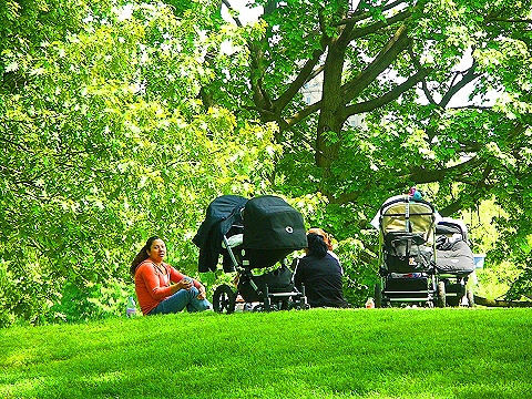 NY-Central_Park-Sheepsmeadow-People_Watching-10.JPG