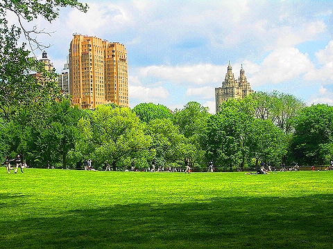 NY-Central_Park-Sheepsmeadow-People_Watching-12.JPG