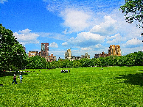 NY-Central_Park-Sheepsmeadow-People_Watching-14.JPG