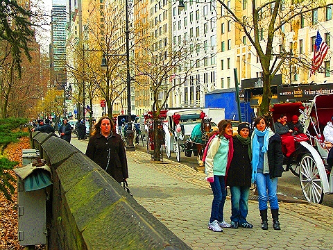 NY-Central_Park_South-People_Horses_Carriages-01.JPG