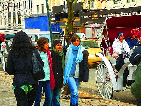 NY-Central_Park_South-People_Horses_Carriages-02.JPG