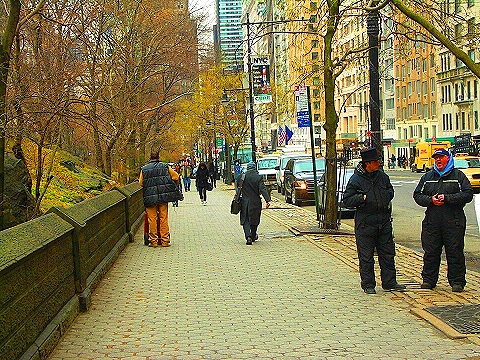 NY-Central_Park_South-People_Horses_Carriages-04.JPG