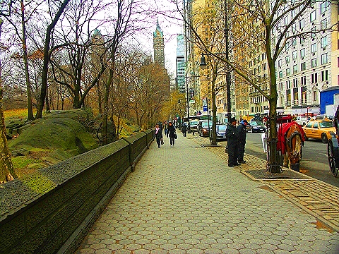 NY-Central_Park_South-People_Horses_Carriages-07.JPG