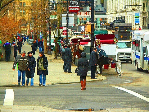 NY-Central_Park_South-People_Horses_Carriages-11.JPG
