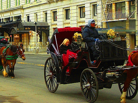 NY-Central_Park_South-People_Horses_Carriages-14.JPG