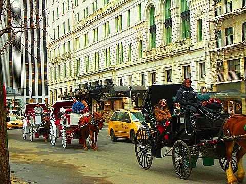 NY-Central_Park_South-People_Horses_Carriages-15.JPG