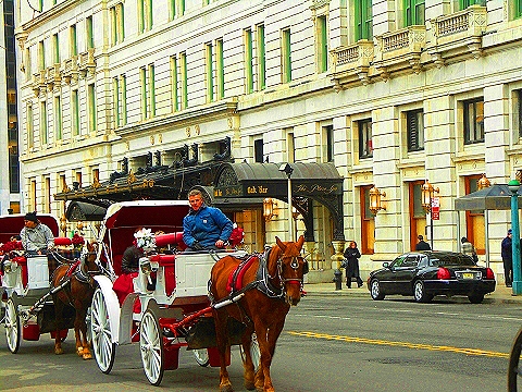 NY-Central_Park_South-People_Horses_Carriages-16.JPG