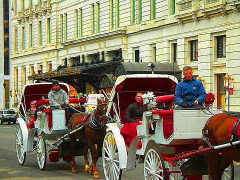 NY-Central_Park_South-People_Horses_Carriages-17.JPG