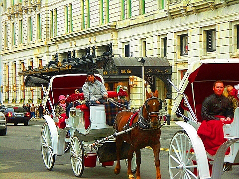 NY-Central_Park_South-People_Horses_Carriages-18.JPG