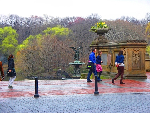 NY-Central_Park_Spring_2008-First_Flowers-Angel_of_The_Waters-01.JPG