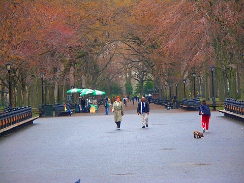 NY-Central_Park_Spring_2008-First_Flowers-Angel_of_The_Waters-03.JPG