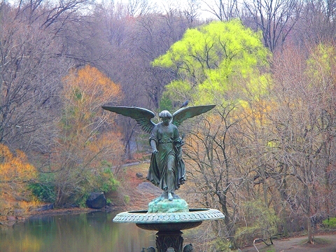 NY-Central_Park_Spring_2008-First_Flowers-Angel_of_The_Waters-08.JPG