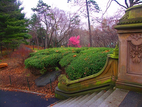 NY-Central_Park_Spring_2008-First_Flowers-Angel_of_The_Waters-10.JPG