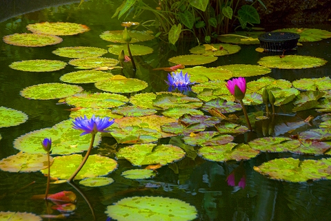 NY-Central_Park-Statues_at_Conservatory_Gardens-15.jpg