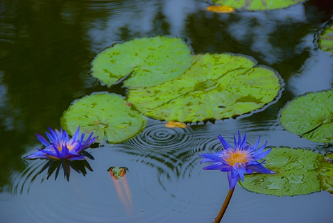 NY-Central_Park-Statues_at_Conservatory_Gardens-16.jpg
