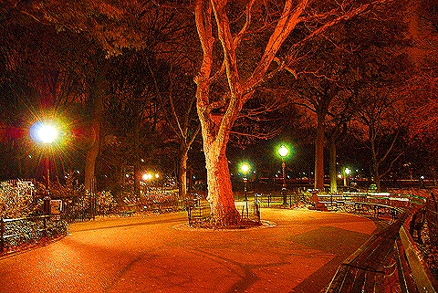 NY-Central_Park_West-Nightshots-8.JPG