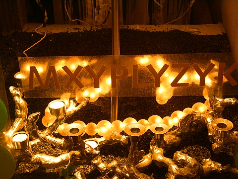 NY-Chelsea_Christmas_Windows-10.JPG