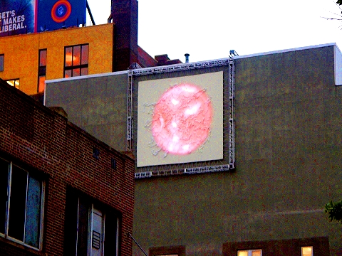 NY-Chelsea_Gallery_Windows-W23rd_and_12thAve-12.JPG