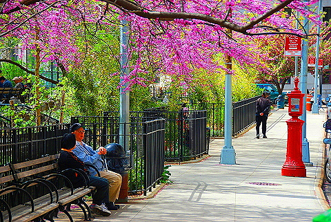 NY-Chinataown-02.JPG