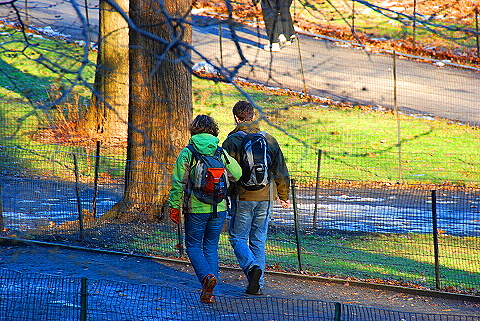 NY-Christmas_in_Central_Park-2008-01.JPG