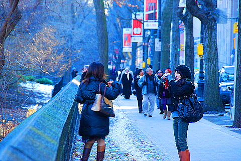 NY-Christmas_in_Central_Park-2008-04.JPG
