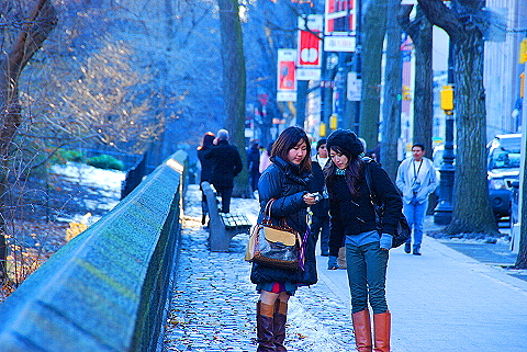 NY-Christmas_in_Central_Park-2008-05.JPG