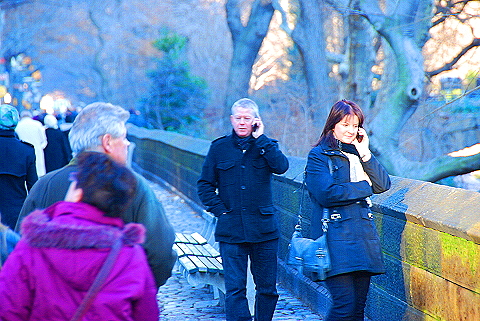 NY-Christmas_in_Central_Park-2008-06.JPG