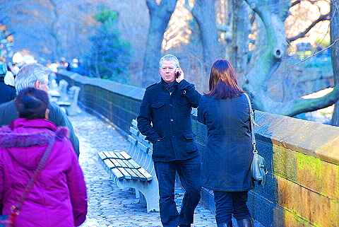 NY-Christmas_in_Central_Park-2008-07.JPG