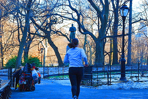 NY-Christmas_in_Central_Park-2008-10.JPG