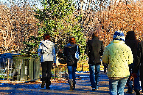 NY-Christmas_in_Central_Park-2008-13.JPG