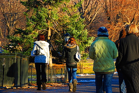 NY-Christmas_in_Central_Park-2008-14.JPG
