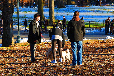 NY-Christmas_in_Central_Park-2008-15.JPG