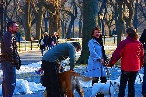 NY-Christmas_in_Central_Park-2008-16.JPG