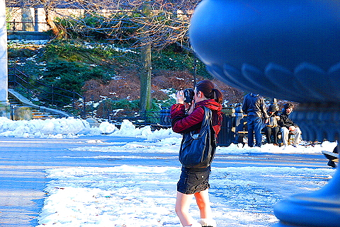 NY-Christmas_in_Central_Park-2008-20.JPG