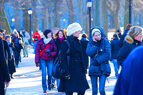 NY-Christmas_in_Central_Park-2008-25.JPG