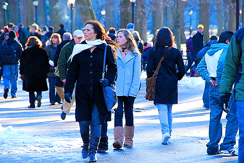 NY-Christmas_in_Central_Park-2008-27.JPG