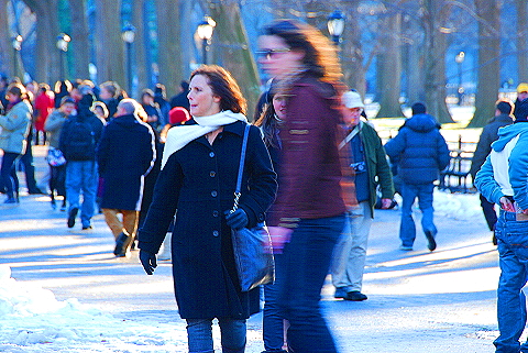 NY-Christmas_in_Central_Park-2008-28.JPG