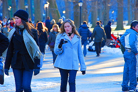 NY-Christmas_in_Central_Park-2008-29.JPG