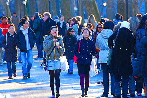NY-Christmas_in_Central_Park-2008-31.JPG