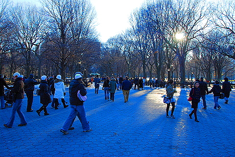 NY-Christmas_in_Central_Park-2008-34.JPG