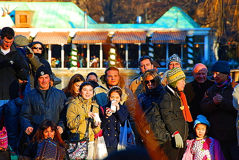 NY-Christmas_in_Central_Park-2008-39.JPG