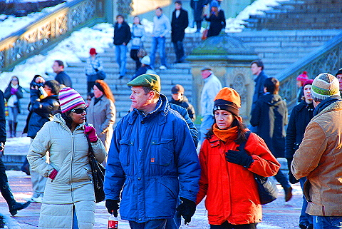 NY-Christmas_in_Central_Park-2008-45.JPG