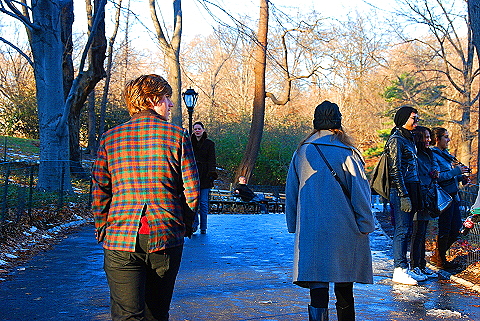 NY-Christmas_in_Central_Park-2008-48.JPG