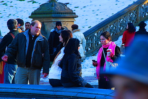 NY-Christmas_in_Central_Park-2008-52.JPG
