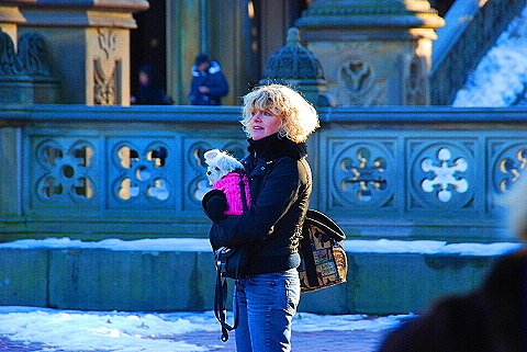 NY-Christmas_in_Central_Park-2008-53.JPG